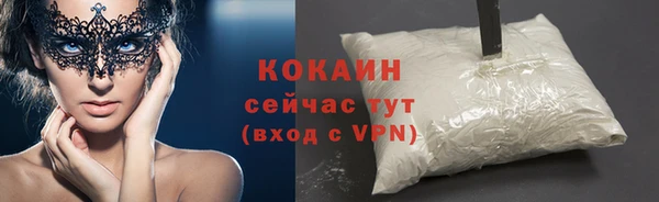 прущие крисы Гусев