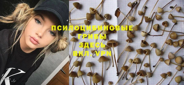 марихуана Гусиноозёрск