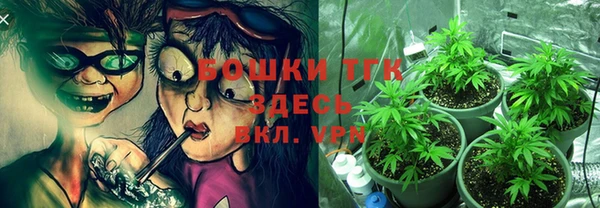 прущие крисы Гусев