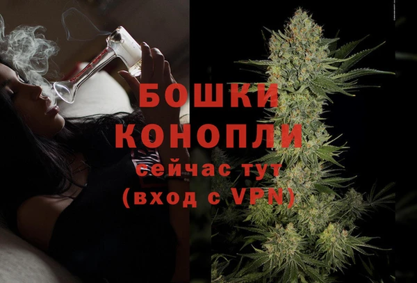 прущие крисы Гусев