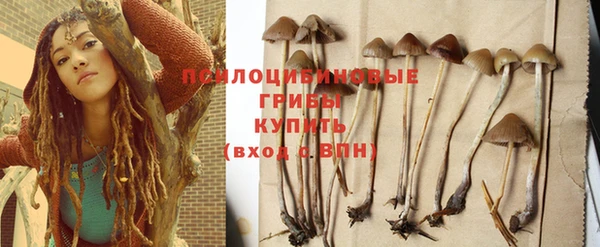 марихуана Гусиноозёрск