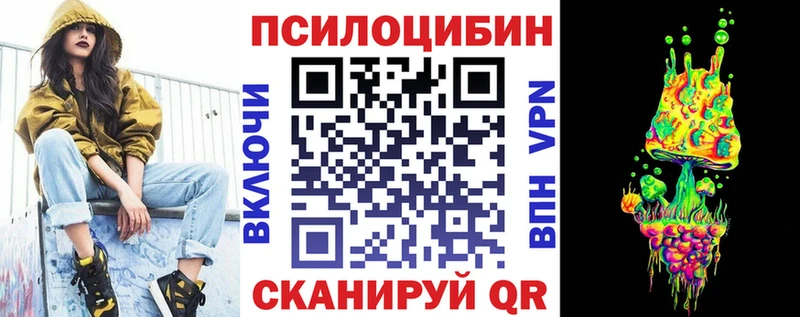 как найти закладки  Евпатория  Псилоцибиновые грибы Psilocybe 