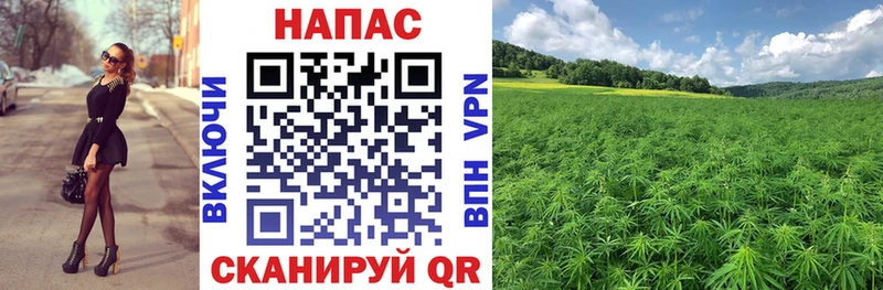 Каннабис OG Kush  купить наркоту  Евпатория 